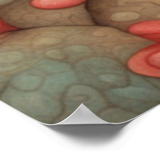 Kangaroo-Liebe 1 Poster (Ecke)