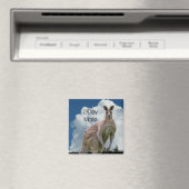 Kangaroo Magnet (In Situ (Geschirrspüler))