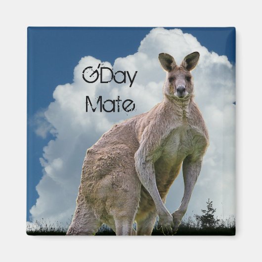 Kangaroo Magnet (Vorne)