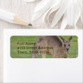 Kangaroo-Mailing-Label (Insitu)