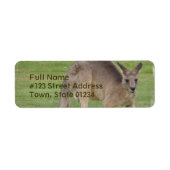 Kangaroo-Mailing-Label (Vorne)