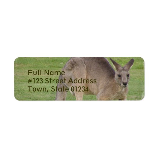 Kangaroo-Mailing-Label (Vorne)