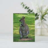 Kangaroo mit Eichen-Blätter Postkarte (Stehend Vorderseite)
