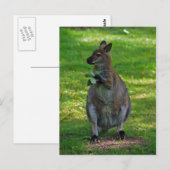 Kangaroo mit Eichen-Blätter Postkarte (Vorne/Hinten)