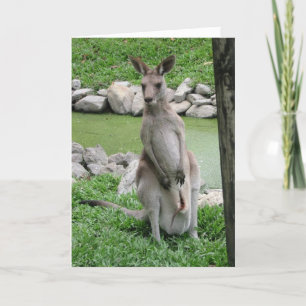Kangaroo mit Joey Birthday Card Karte