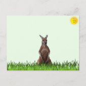 Kangaroo mit Joey Postcard Feiertagspostkarte (Rückseite)