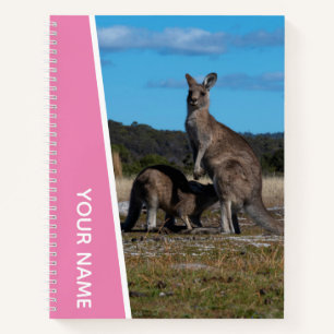 Kangaroo Mutter und Baby in Australien, rosa Notizblock