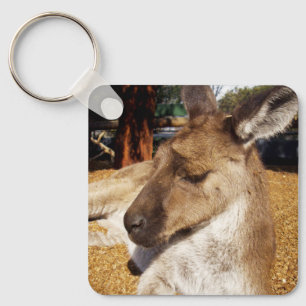 Kangaroo Nah hoch, Keyring Schlüsselanhänger