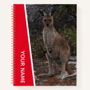 Kangaroo Niedlich Baby Joey Foto, Australien, Red Notizblock
