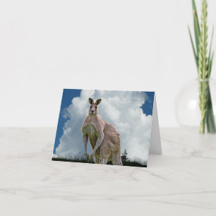Kangaroo Notecard Karte
