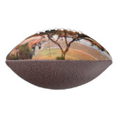 Kangaroo-Öl, das den Strand malt, Football (Gedreht 90)