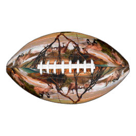 Kangaroo-Öl, das den Strand malt, Football