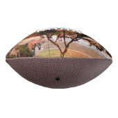 Kangaroo-Öl, das den Strand malt, Football (Gedreht 270)