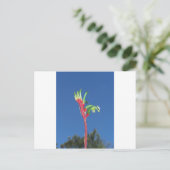 KANGAROO PAW-PFLANZE POSTKARTE (Stehend Vorderseite)