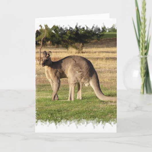 Kangaroo Picture Greeting Card Karte (Vorderseite)