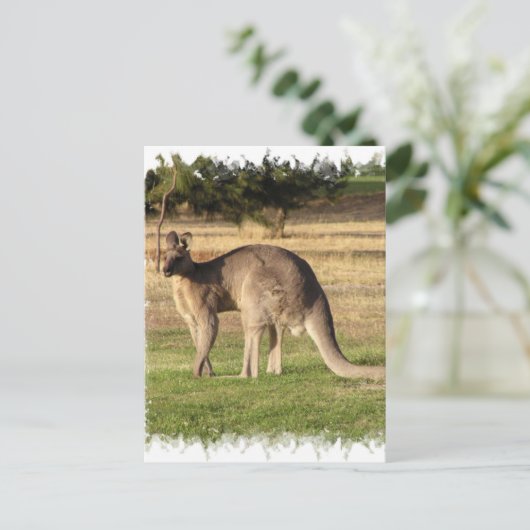 Kangaroo Picture Postcard Postkarte (Stehend Vorderseite)