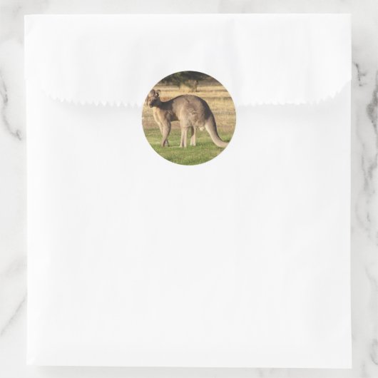 Kangaroo Picture Sticker (Tasche)