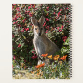 Kangaroo Planer (Rückseite)