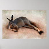 Kangaroo Poster (Vorne)
