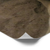 Kangaroo Poster (Ecke)