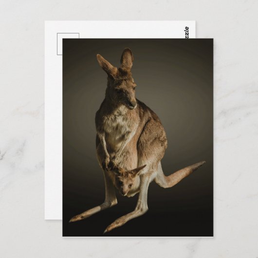 Kangaroo Postkarte (Vorne/Hinten)