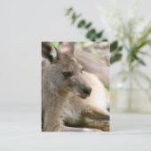 Kangaroo Postkarte (Stehend Vorderseite)