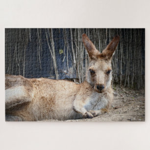 Kangaroo Puzzle