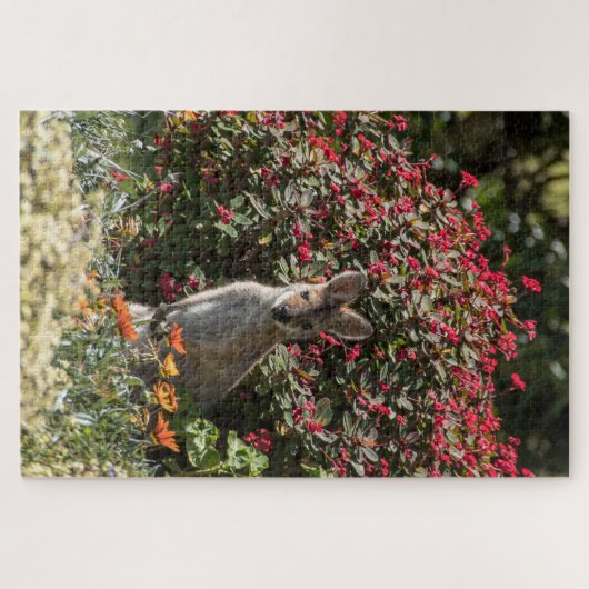 Kangaroo Puzzle (Horizontal)