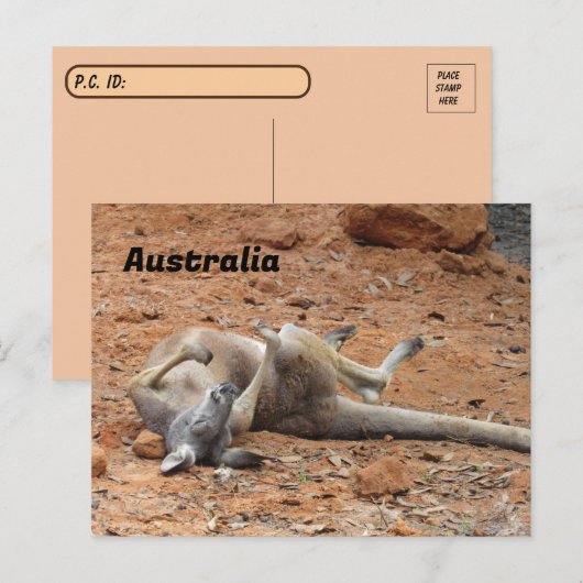 Kangaroo-Rolling / Playing Postkarte (Vorne/Hinten)