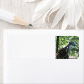 Kangaroo-Rückadresskennzeichen (Insitu)