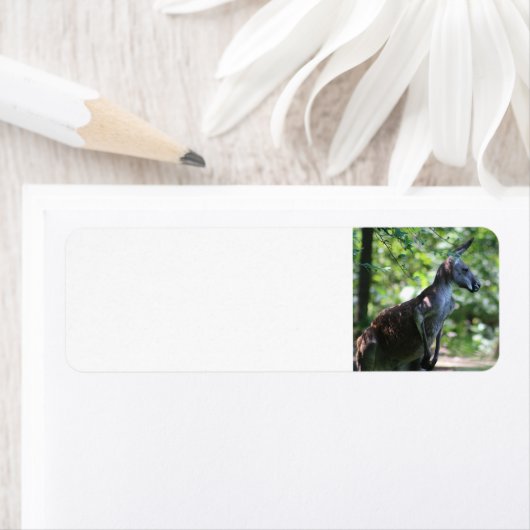 Kangaroo-Rückadresskennzeichen (Insitu)