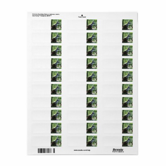 Kangaroo-Rückadresskennzeichen (Vorne)