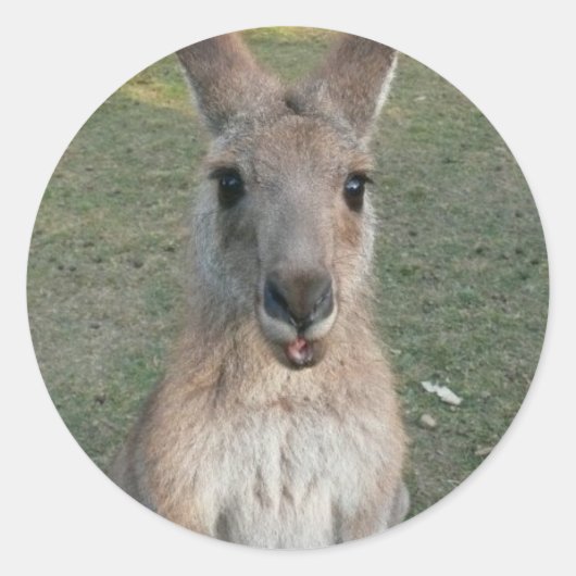 Kangaroo Runder Aufkleber (Vorderseite)