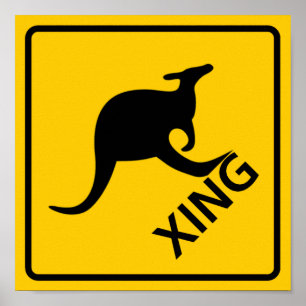 Kangaroo-Schnellstrasse Poster