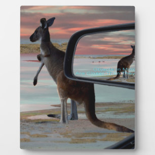 Kangaroo Sea Breezes Illusion Art Fotoplatte