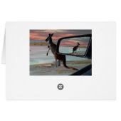 Kangaroo Seaside Breezes Illusion Art (Rückseite Horizontal)