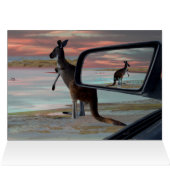 Kangaroo Seaside Breezes Illusion Art (Innenansicht Horizontal (Oben))