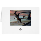 Kangaroo Seaside Breezes Illusionskunst, Geburtsta (Rückseite Horizontal)