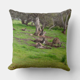 Kangaroo Siesta, großes Kissengewölbe. Kissen