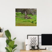 Kangaroo Siesta, Poster (Heimbüro)