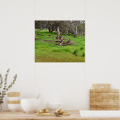 Kangaroo Siesta, Poster (Küche)