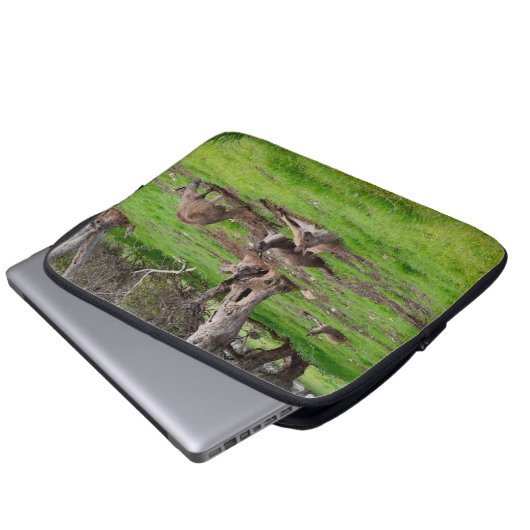 Kangaroo Siesta Time, Laptopschutzhülle (Vorne Knopf)