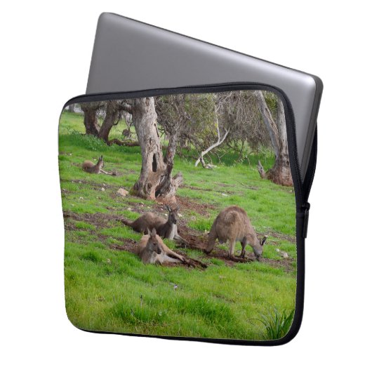 Kangaroo Siesta Time, Laptopschutzhülle (Vorderseite Links)