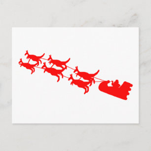 Kangaroo Sleigh Feiertagspostkarte