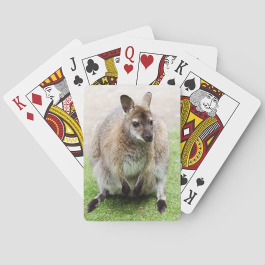 Kangaroo Spielkarten (Rückseite)