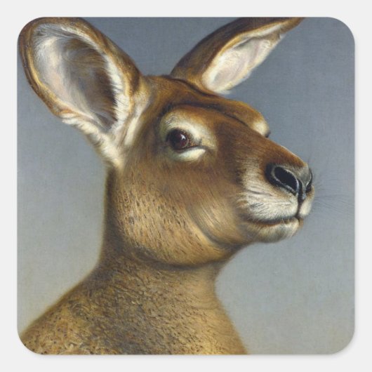 Kangaroo Square Sticker (Vorderseite)