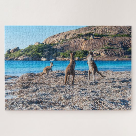 Kangaroo Standoff am Strand, 1014 Stück Puzzle (Horizontal)