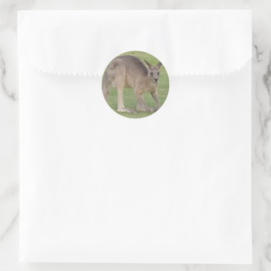 Kangaroo-Sticker Runder Aufkleber (Tasche)
