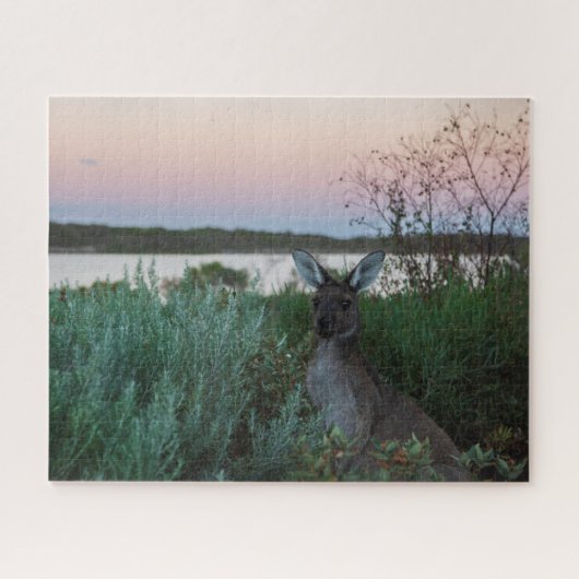 Kangaroo Sunset am Lake Australia, 520 Stück Puzzle (Horizontal)