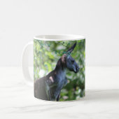 Kangaroo-Tasse Kaffeetasse (Vorderseite Links)
